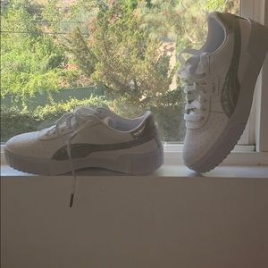 NWOT Platform  Pumas